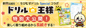 新興出版社啓林館　ドリルの王様 大特集　苦手克服 集中特訓ドリルに挑戦しよう